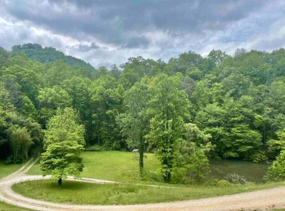 Lazy Bear Cabin Near Nantahala Outdoor Center And Bryson City Exterior foto