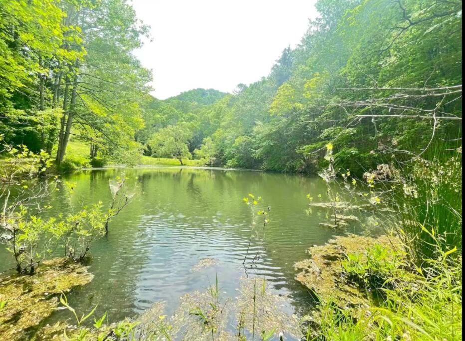 Lazy Bear Cabin Near Nantahala Outdoor Center And Bryson City Exterior foto