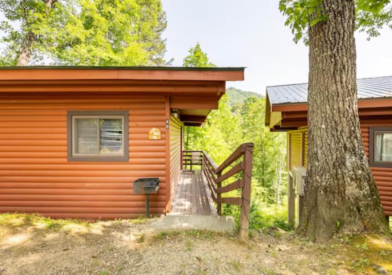 Lazy Bear Cabin Near Nantahala Outdoor Center And Bryson City Exterior foto
